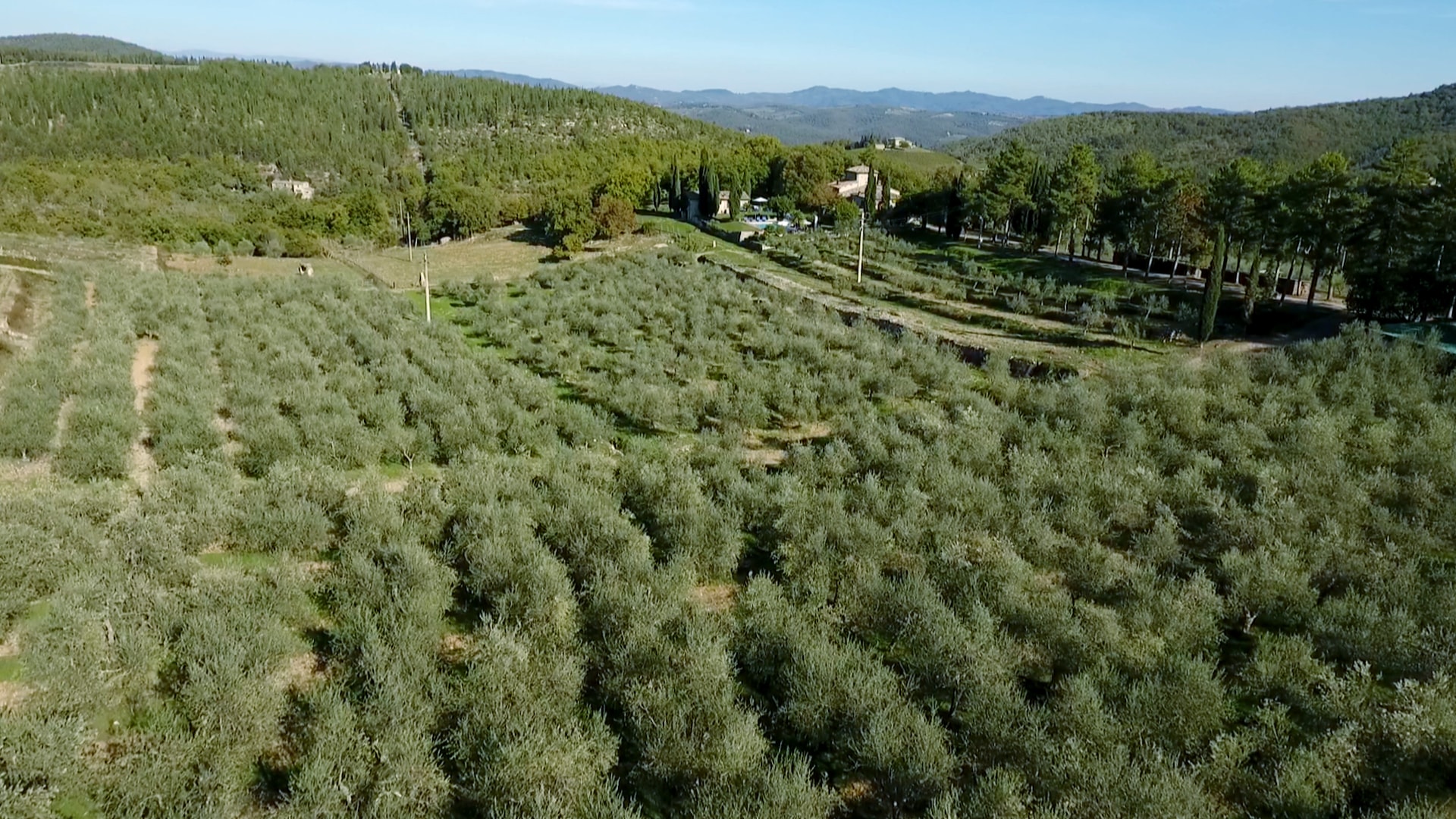 Appartamenti con piscina esterna per vacanze sulle colline del Chianti